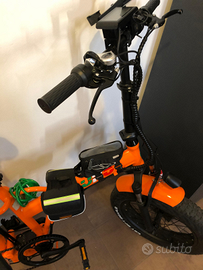 Bicicletta elettrica