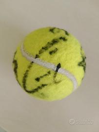 Pallina da tennis Autografata Carlos Alcaraz