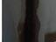 Immagine 13