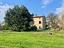 Immagine 27