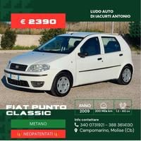 Fiat Punto Classic 1.2 5 porte Natural Power Activ