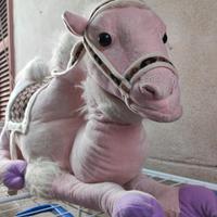 PELUCHE CAMMELLO ROSA 