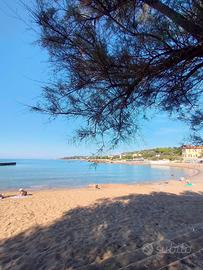CASTIGLIONCELLO 100 m dal mare