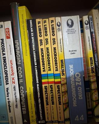 Il Libro Del Microdrive Spectrum - Dr. Ian Logan