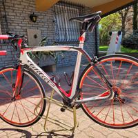 BICI DA CORSA WILIER 101
