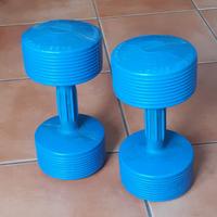 Manubri da 5 Kg.