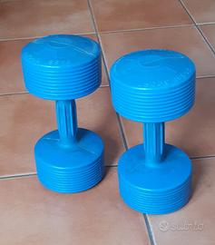 Manubri da 5 Kg.