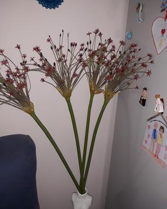 fiori in latticei alti