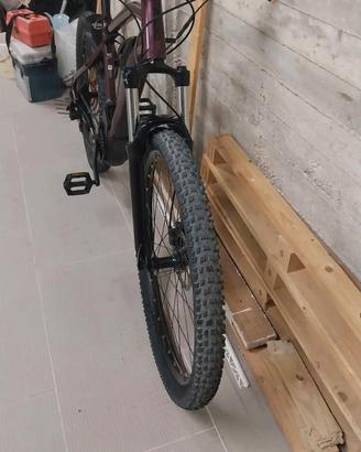 bici elettrica