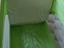 Immagine 3