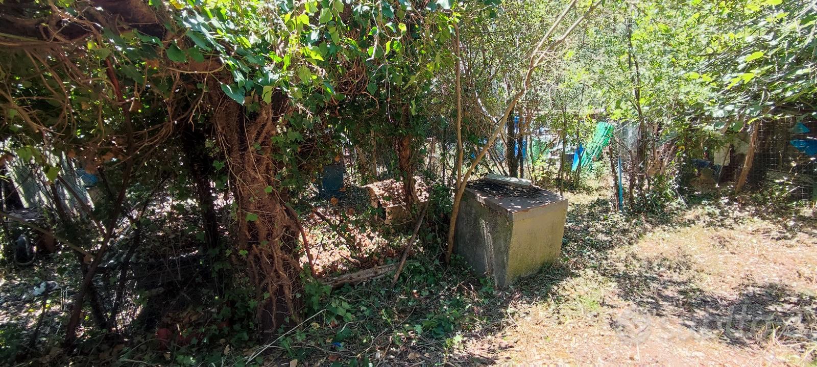 Terreno agricolo - Vista 3