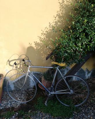 Bicicletta motobecane