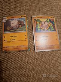 carte pokemon 