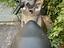 Immagine 2