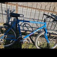 Bicicletta mtb