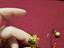 Immagine 4