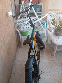 Bici elettrica