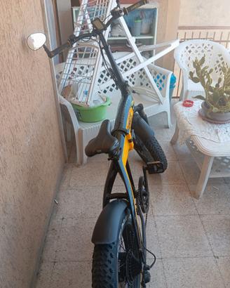 Bici elettrica