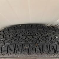 Gomme termiche panda