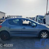 PEUGEOT 207 WA, WC 1.4 73CV 06-13 ricambi-