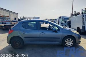 PEUGEOT 207 WA, WC 1.4 73CV 06-13 ricambi-