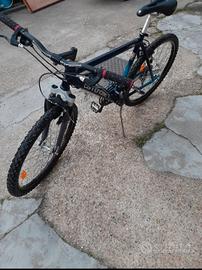 bicicletta cannondale alluminio