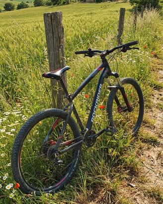 bici sportiva