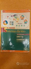 Il nuovo sistema diritto 