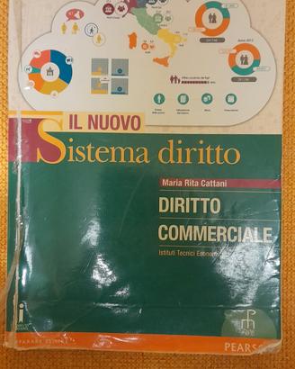 Il nuovo sistema diritto 