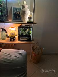 Bel terrario rettili anfibi aracnidi ultimi pezzi