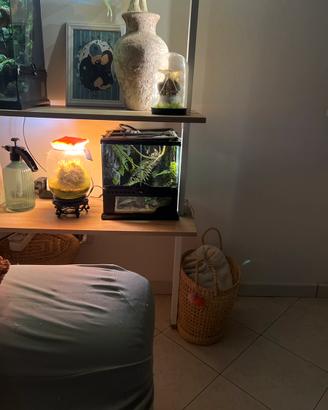 Bel terrario rettili anfibi aracnidi ultimi pezzi