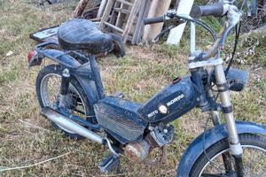 motociclo