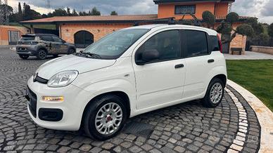 Fiat Panda 1.3 mjt 16v Easy s&s 95cv