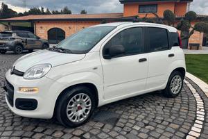 Fiat Panda 1.3 mjt 16v Easy s&s 95cv