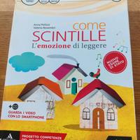 Come scintille 2+ letteratura 