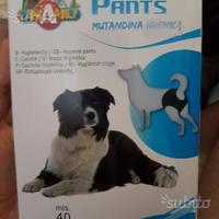 Mutandina cani per calore misura 40 + assorbenti