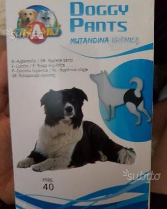Mutandina cani per calore misura 40 + assorbenti