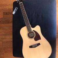 Chitarra Ibanez con stand