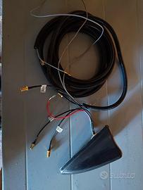 Antenna auto a pinna 