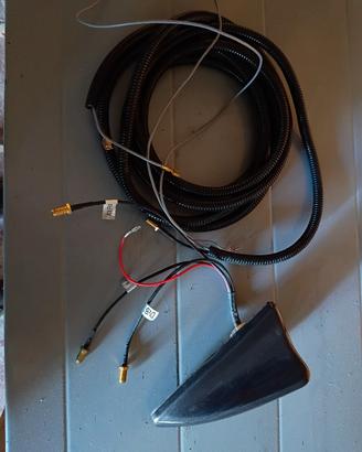 Antenna auto a pinna 
