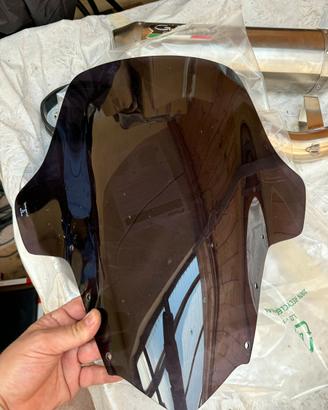 Cupolino Yamaha Fazer 1000