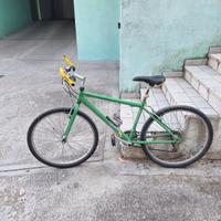 bici MTB verde