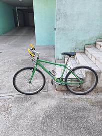 bici MTB verde