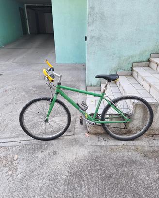 bici MTB verde