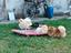 Immagine 3