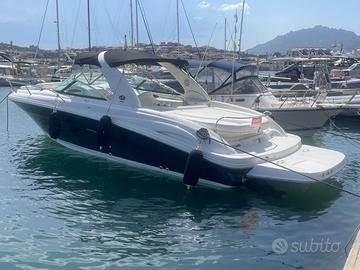 ‘Sea ray 290 sun