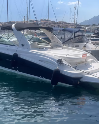 ‘Sea ray 290 sun