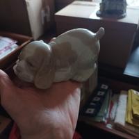 cagnolino Nao Iljadro