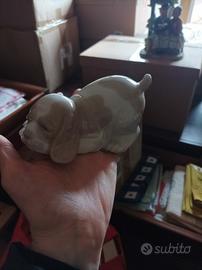 cagnolino Nao Iljadro