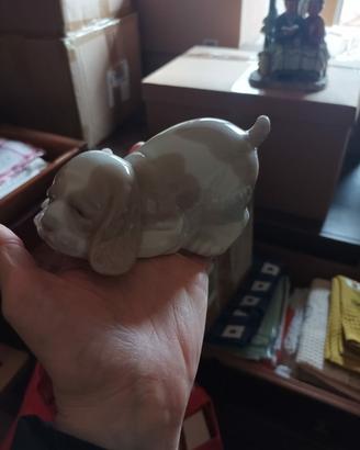 cagnolino Nao Iljadro